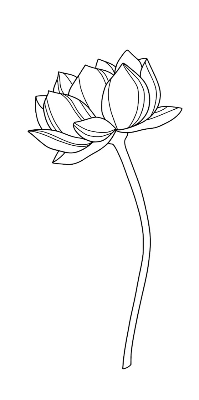 Lotus Background Left